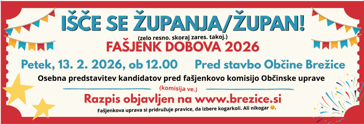 Posnetek_zaslona_2026-02-10_102331.png