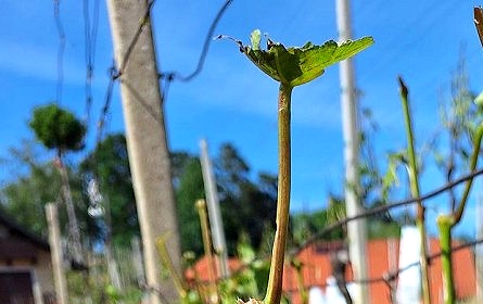 20260513_153734.jpg