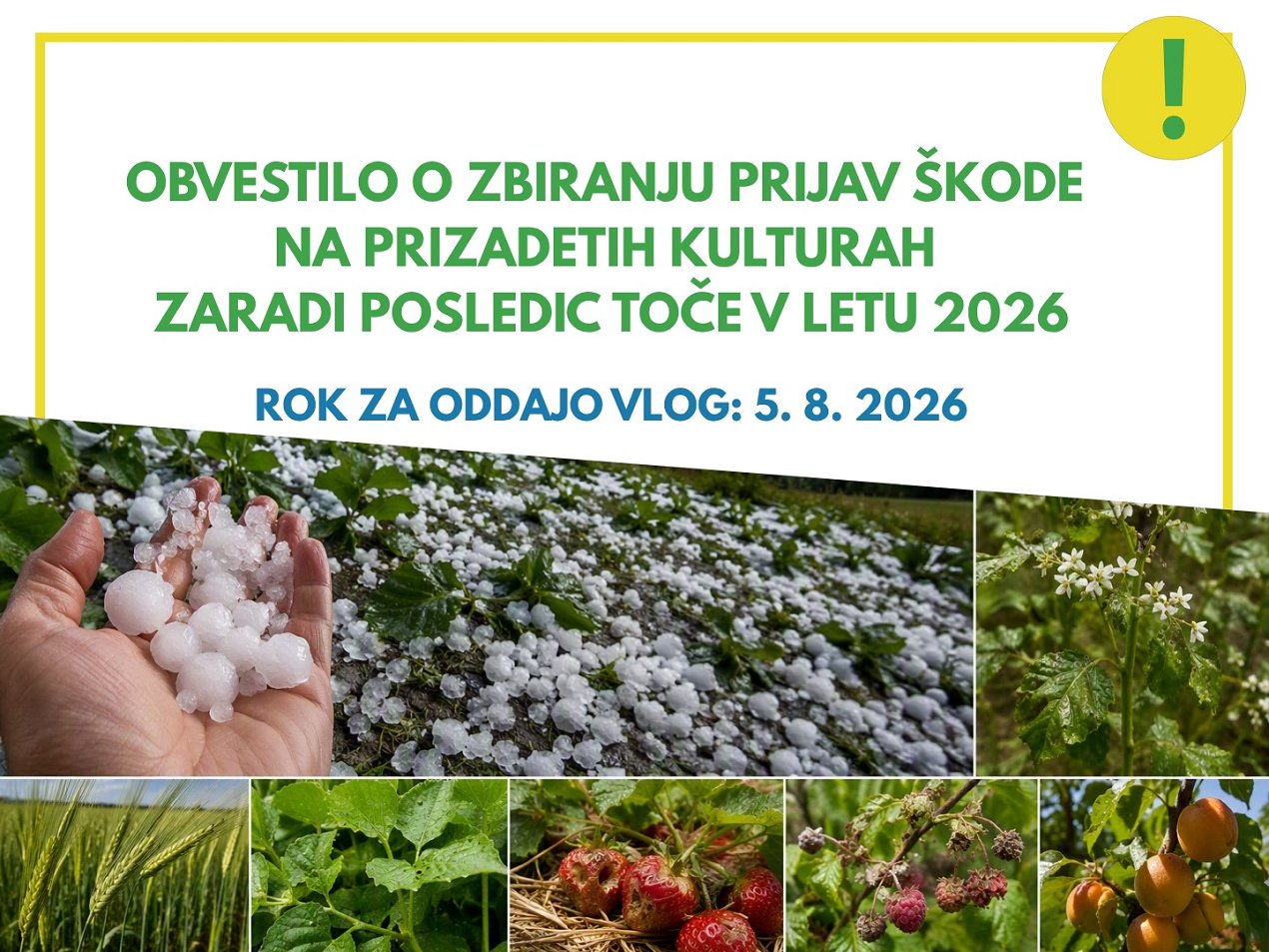 obvestilo_zbiranje_prijav_to__a_2026.jpg