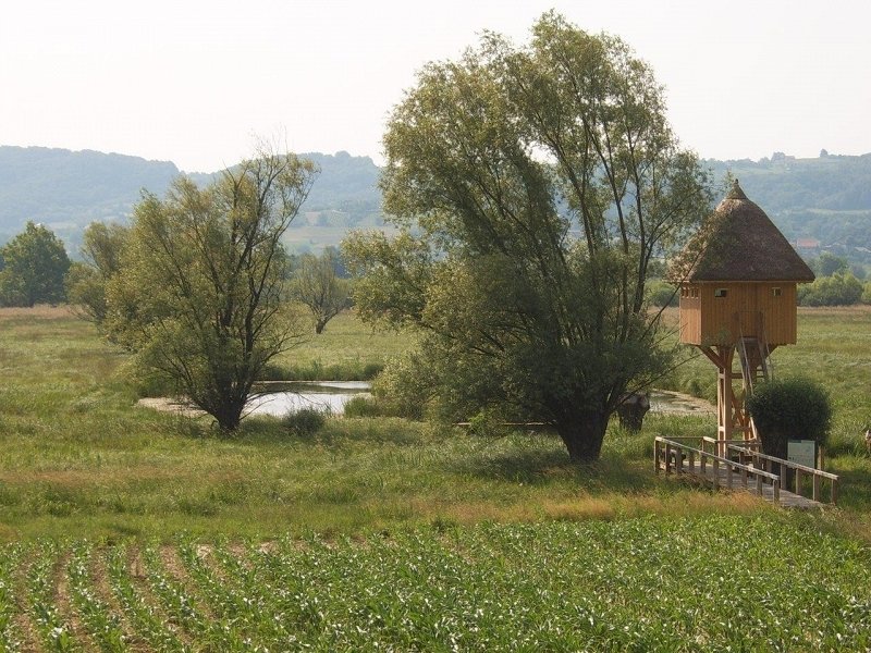 jovsi.jpg